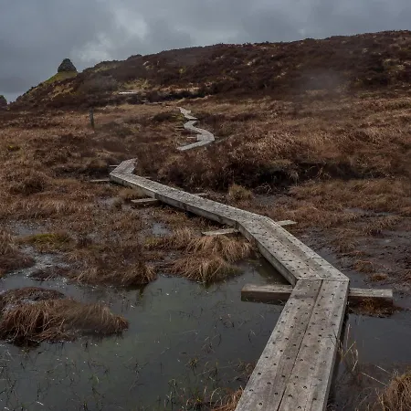 Kitty's Townhouse, * Tullamore