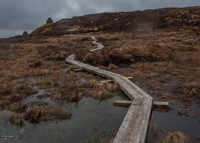 Kitty's Townhouse, * Tullamore